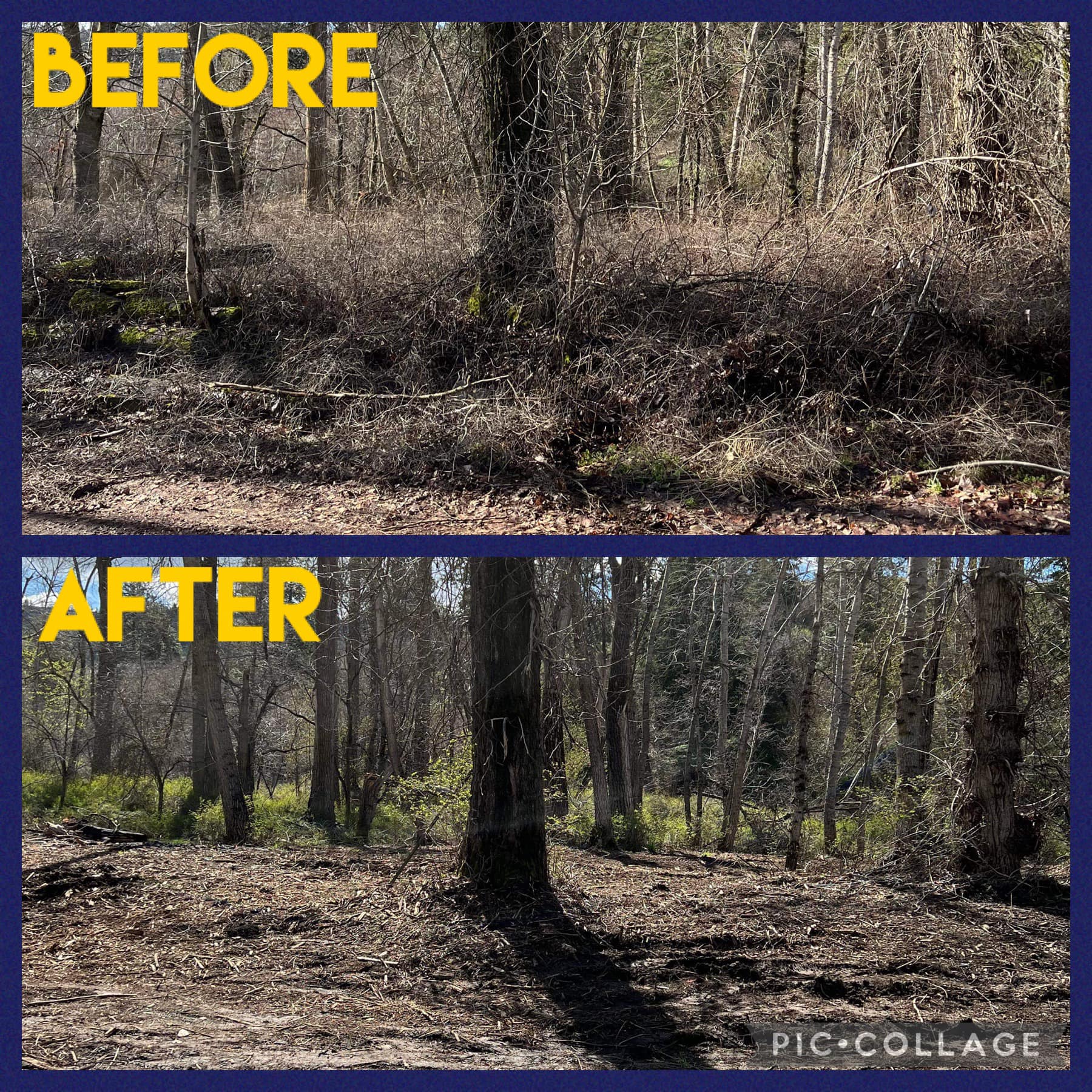 Mill Creek- Walla Walla, WA