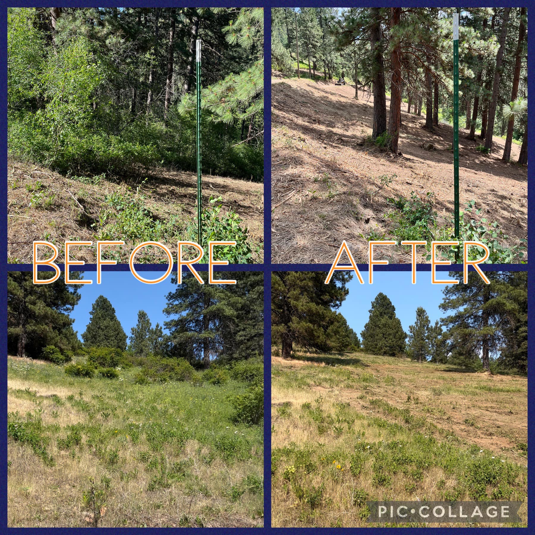 Wolf Fork- Dayton, WA