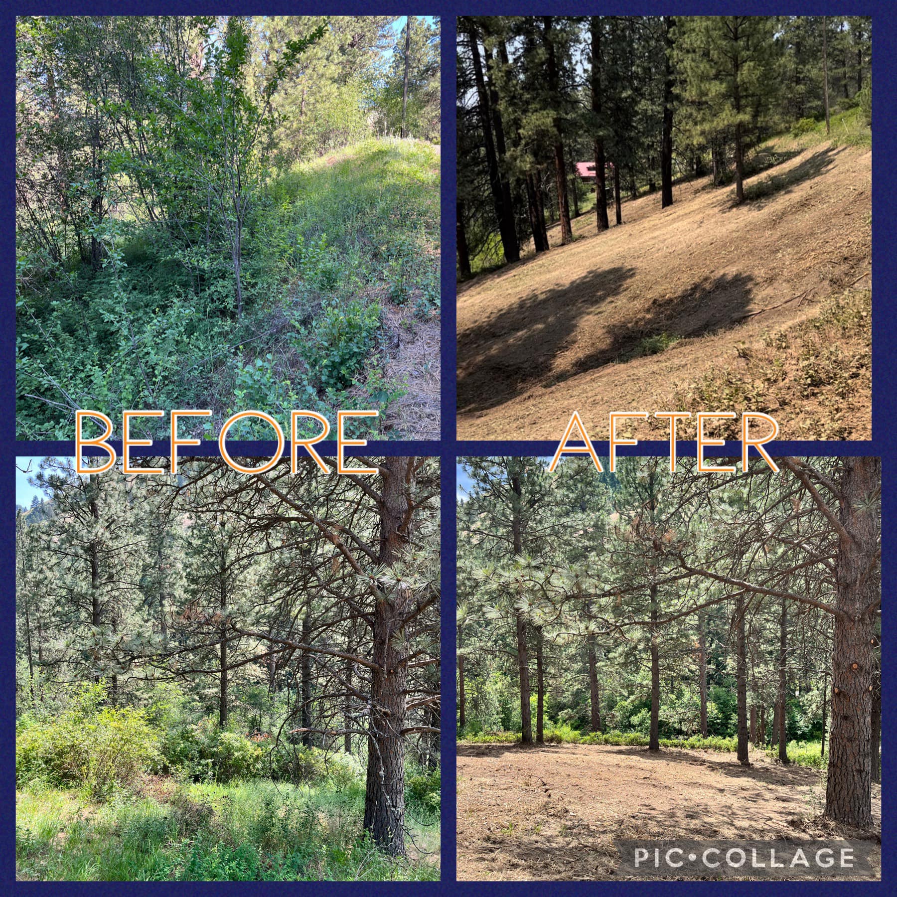 Wolf Fork- Dayton, WA