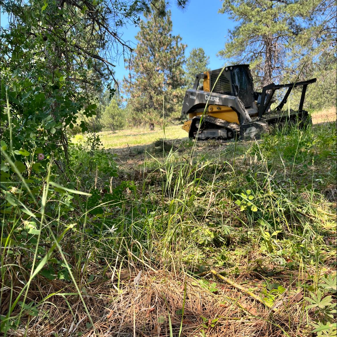 355622127_238369138947745_7724940371914990683_n