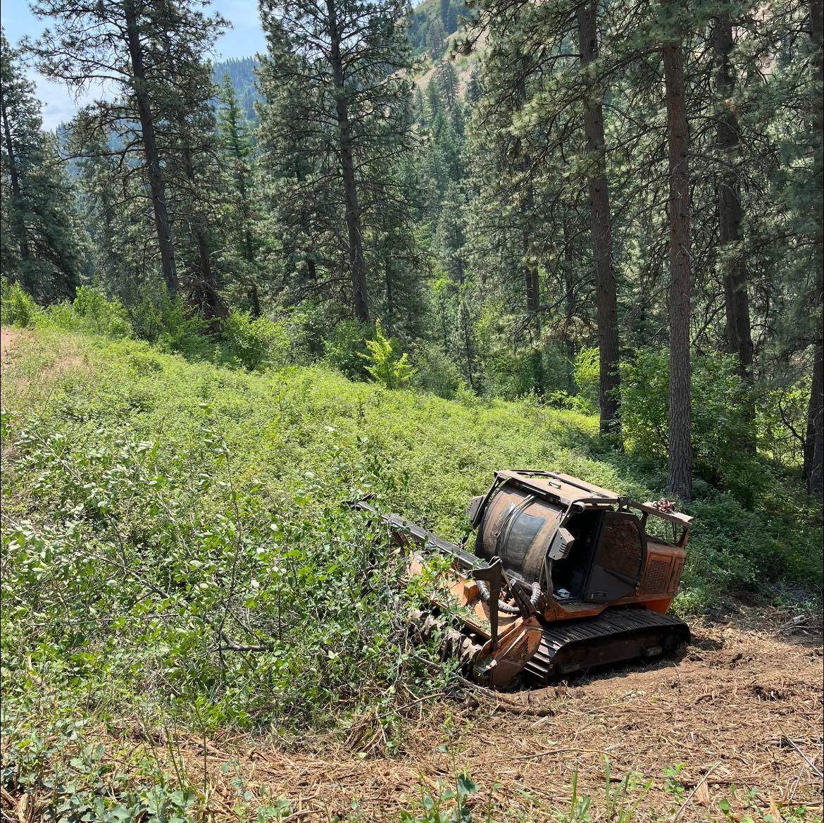 355893362_238368975614428_8844992353366223184_n