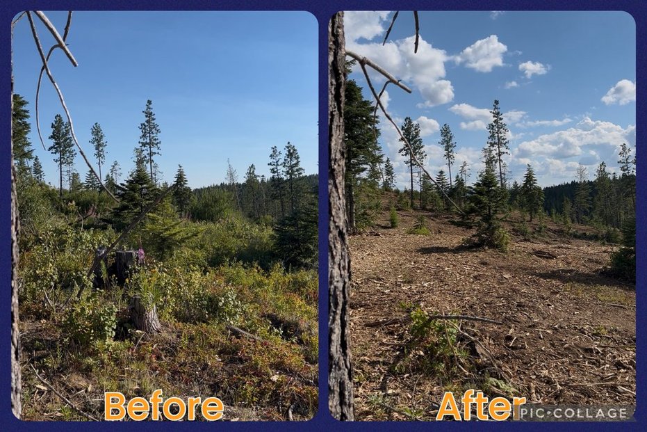 Maloney Mtn.- Dayton, WA