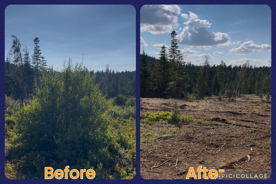 Maloney Mtn.- Dayton, WA