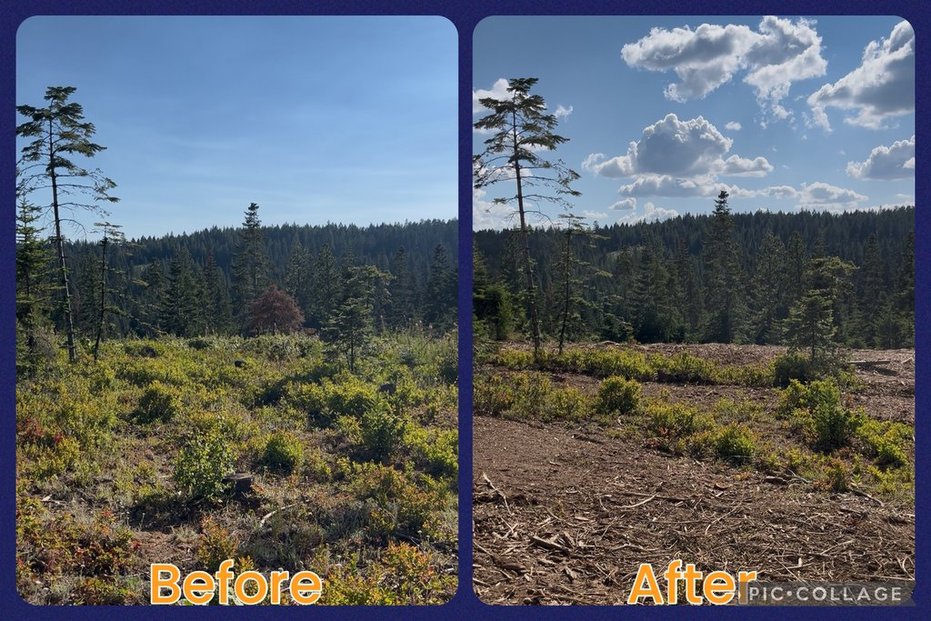 Maloney Mtn.- Dayton, WA