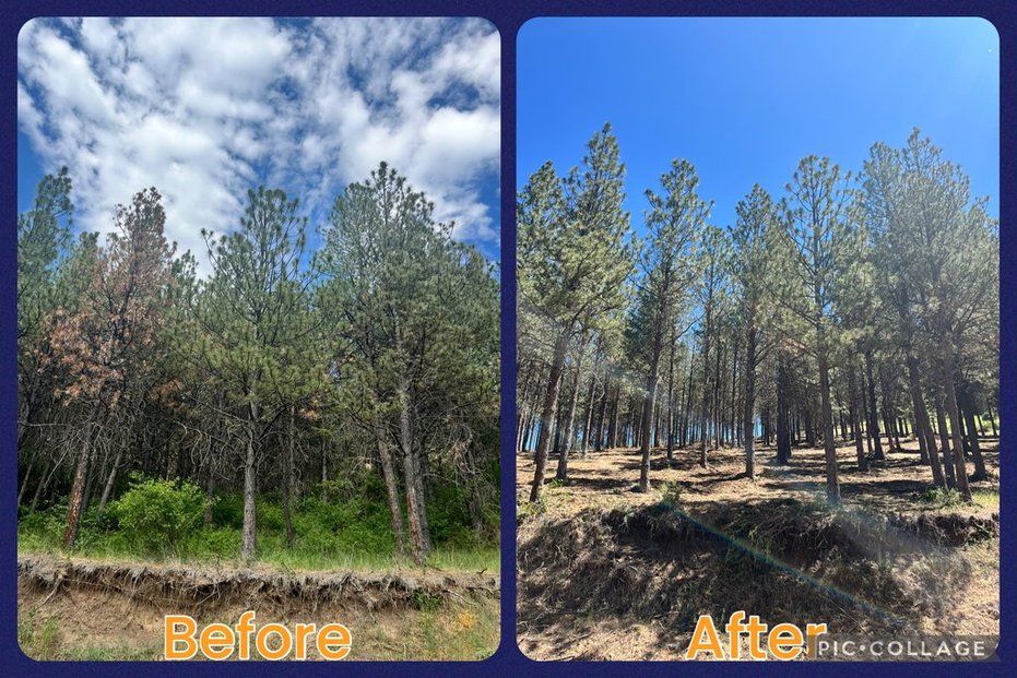 Jim Creek- Dayton, WA