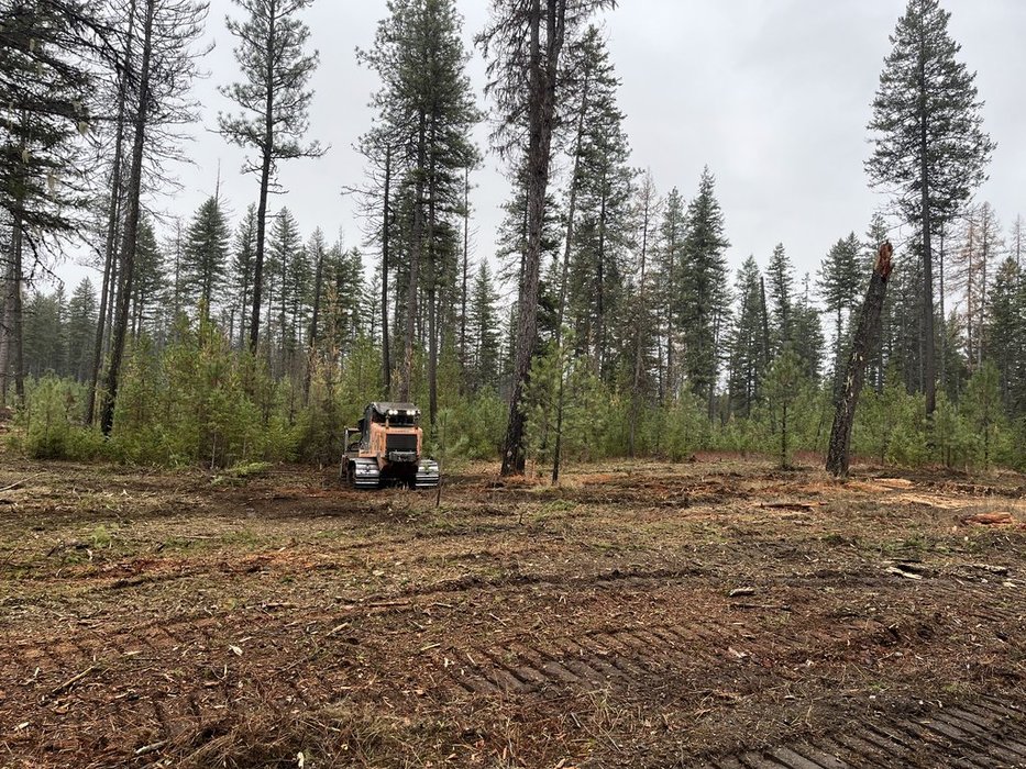 7bLLFI2-RhCd4OjI7y6C4w