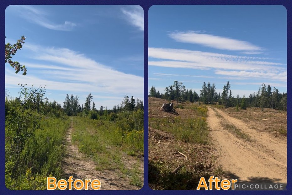 Maloney Mtn.- Dayton, WA