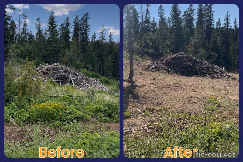 Maloney Mtn.- Dayton, WA