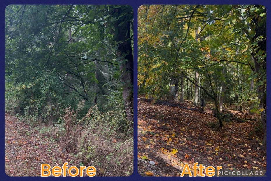 Camano Hills- Camano, WA