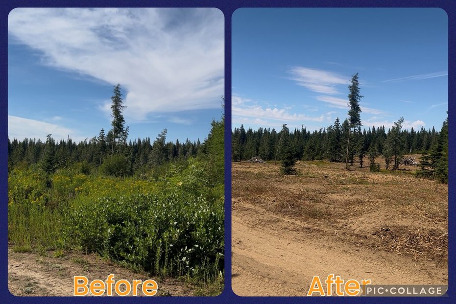 Maloney Mtn.- Dayton, WA