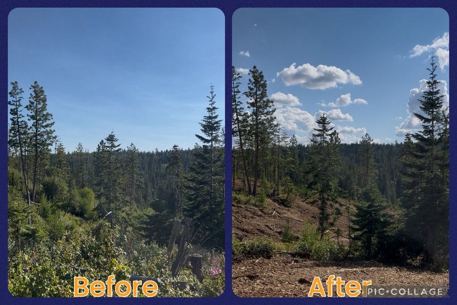 Maloney Mtn.- Dayton, WA