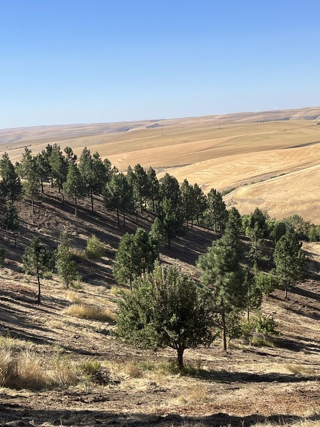 -W3ttChvRjGK_hXDuWYtcQ