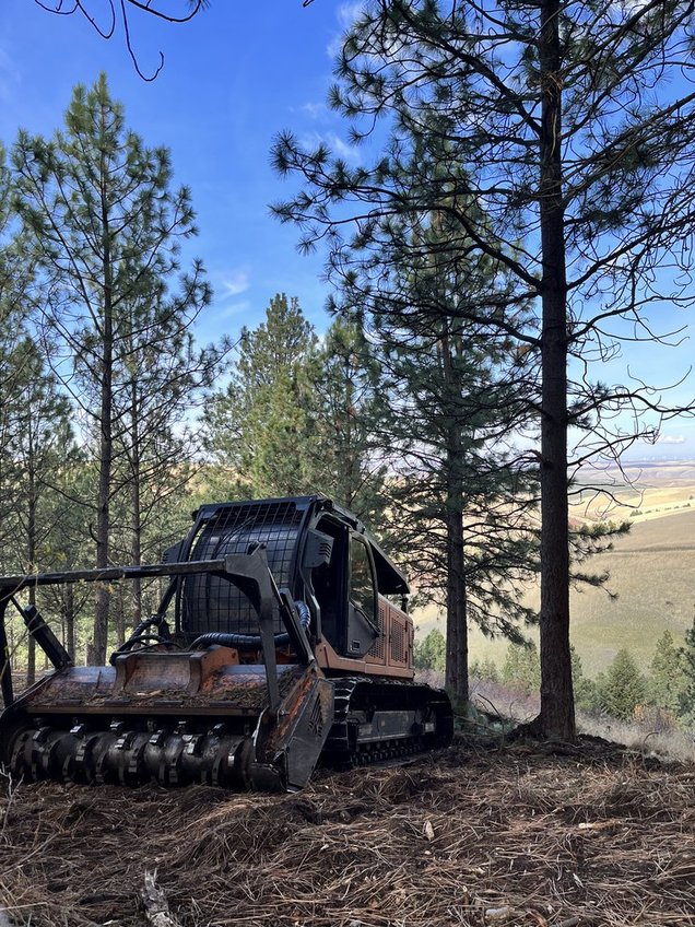 bNd8eZFRTimSb7sxsw0gOQ