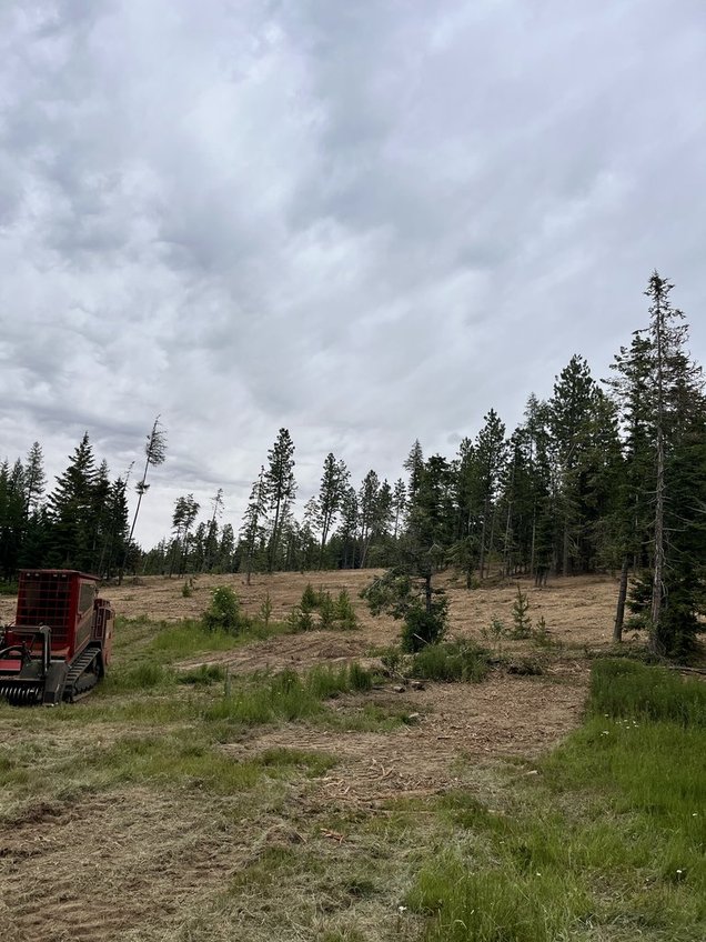 bVb_6w_GSzqOrAaNOolLIw