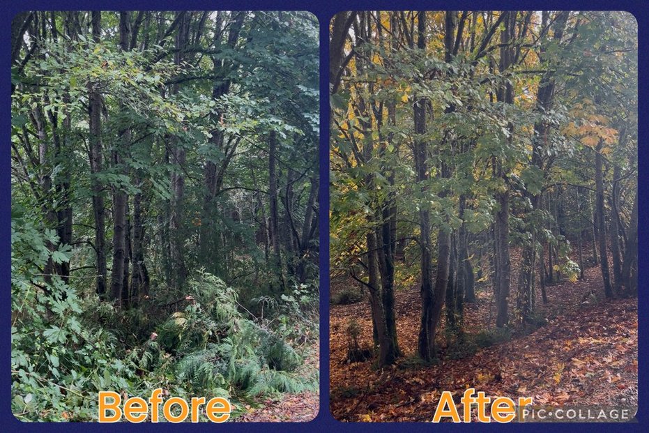 Camano Hills- Camano, WA