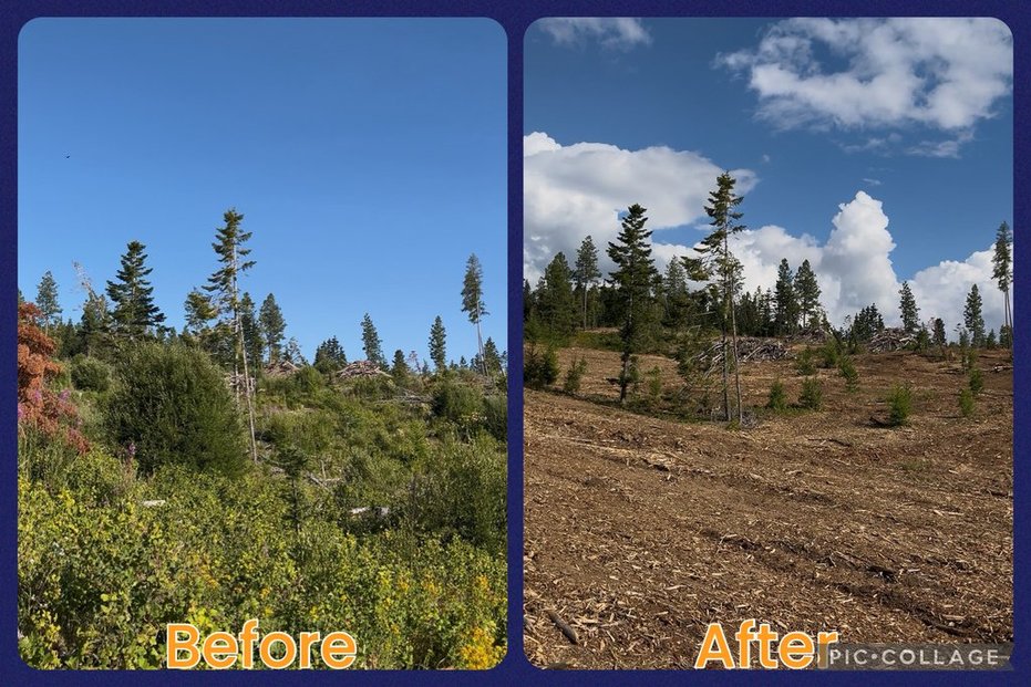 Maloney Mtn.- Dayton, WA