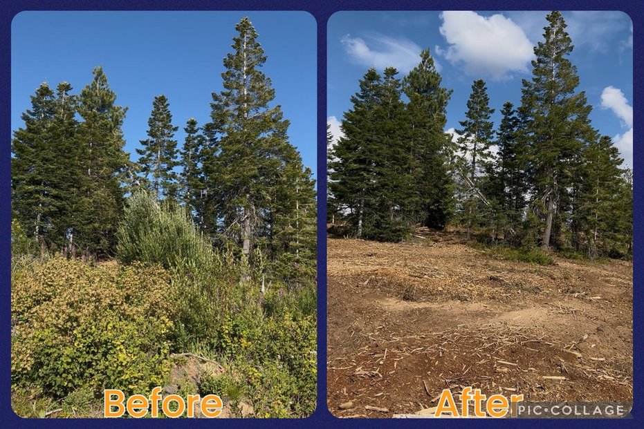 Maloney Mtn.- Dayton, WA