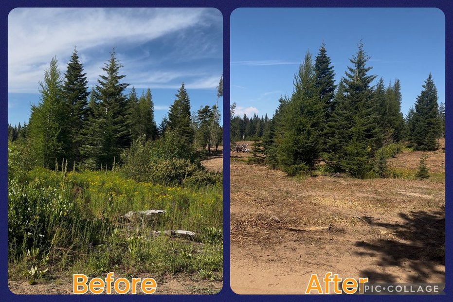 Maloney Mtn.- Dayton, WA