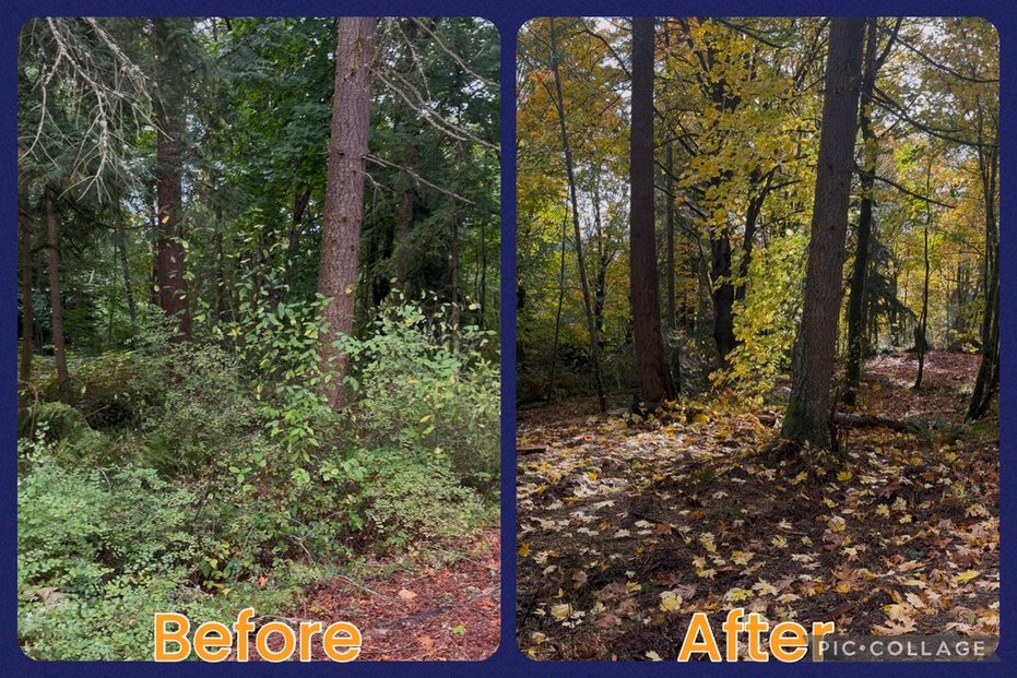 jYb1_2SmQeKyCGpRPC5_Yw