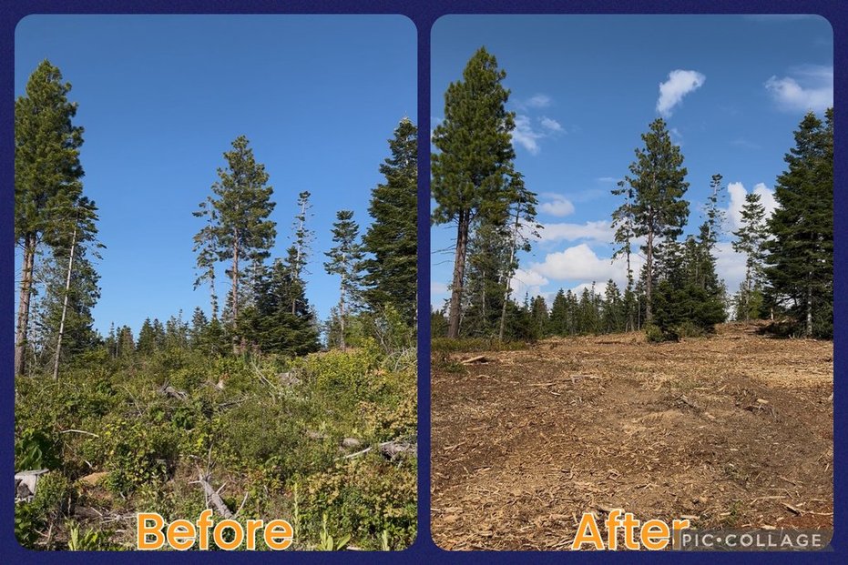 Maloney Mtn.- Dayton, WA