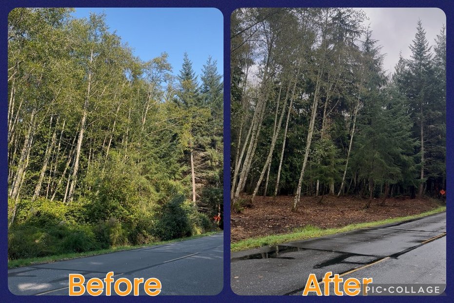 Camano Hills- Camano, WA