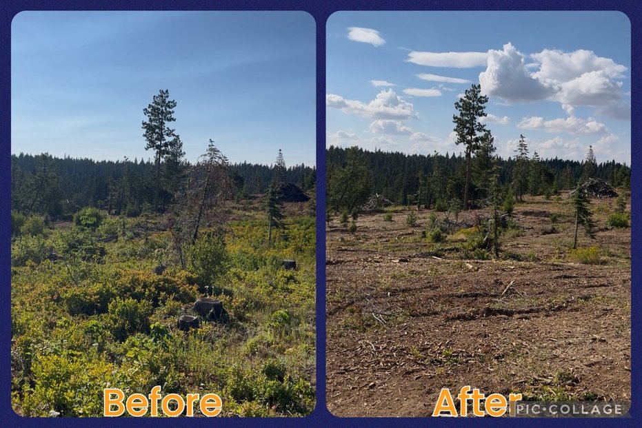 Maloney Mtn.- Dayton, WA