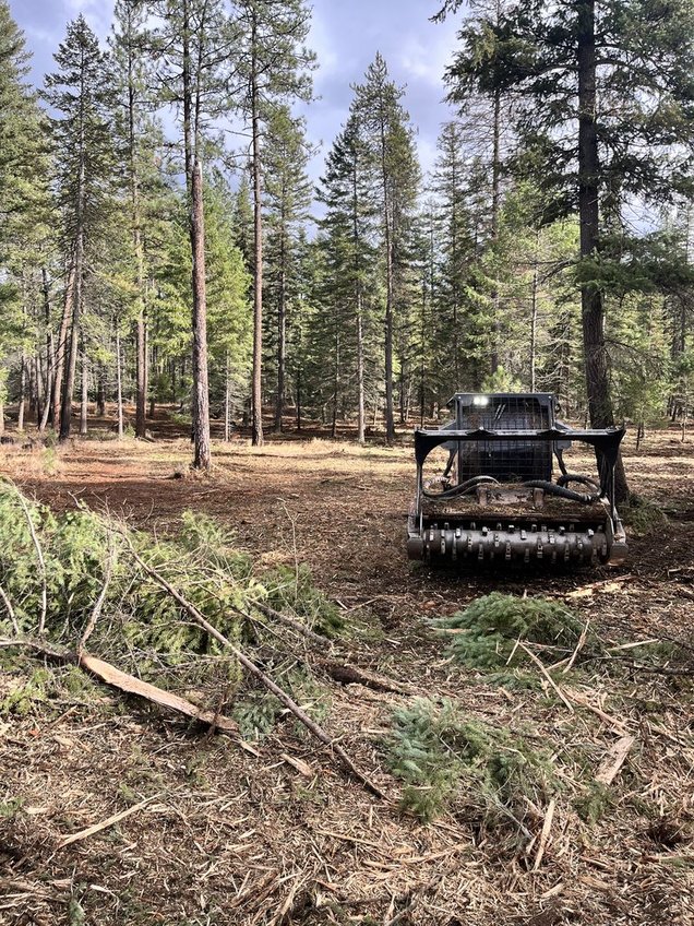 qleXoKvTRNSQoHjLJVcVxg