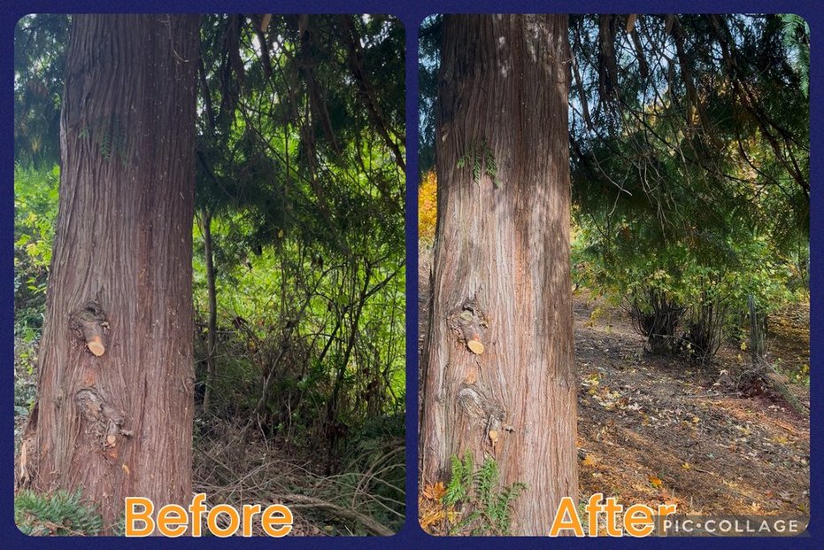 Camano Hills- Camano, WA