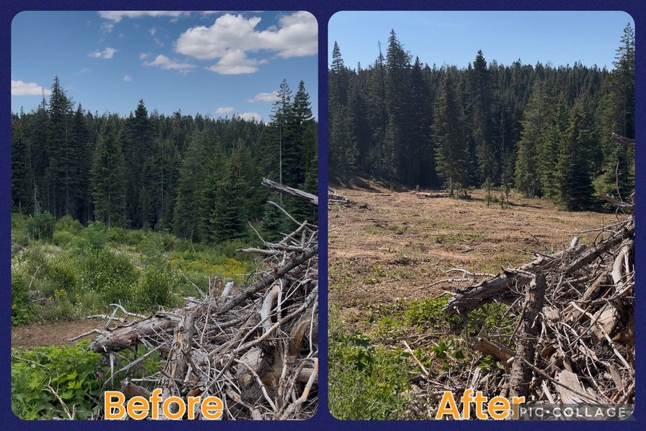 Maloney Mtn.- Dayton, WA