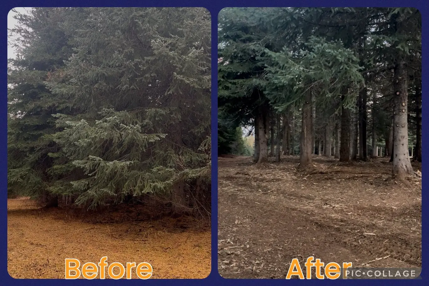 Tollgate- Weston, OR