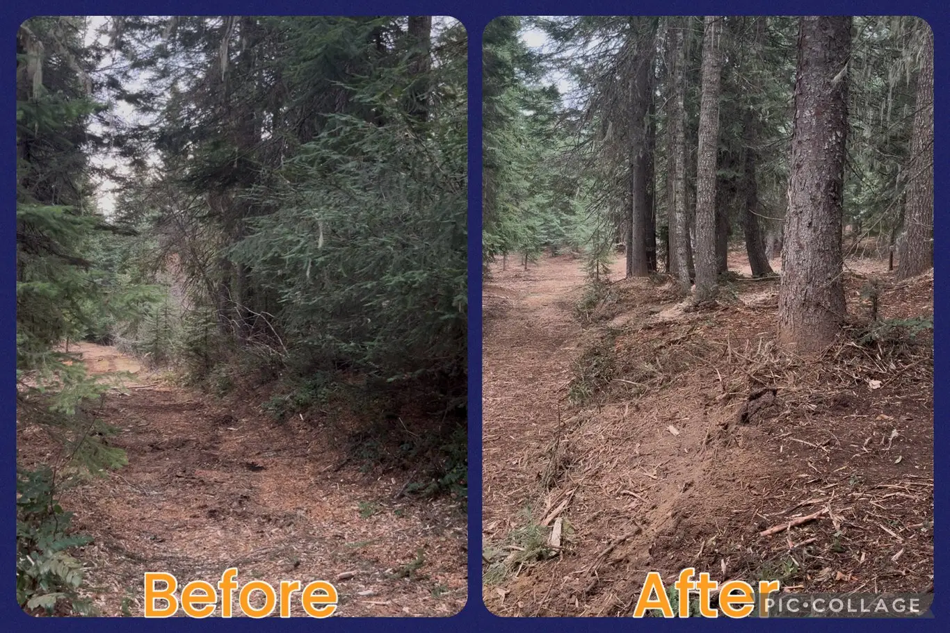 Tollgate- Weston, OR