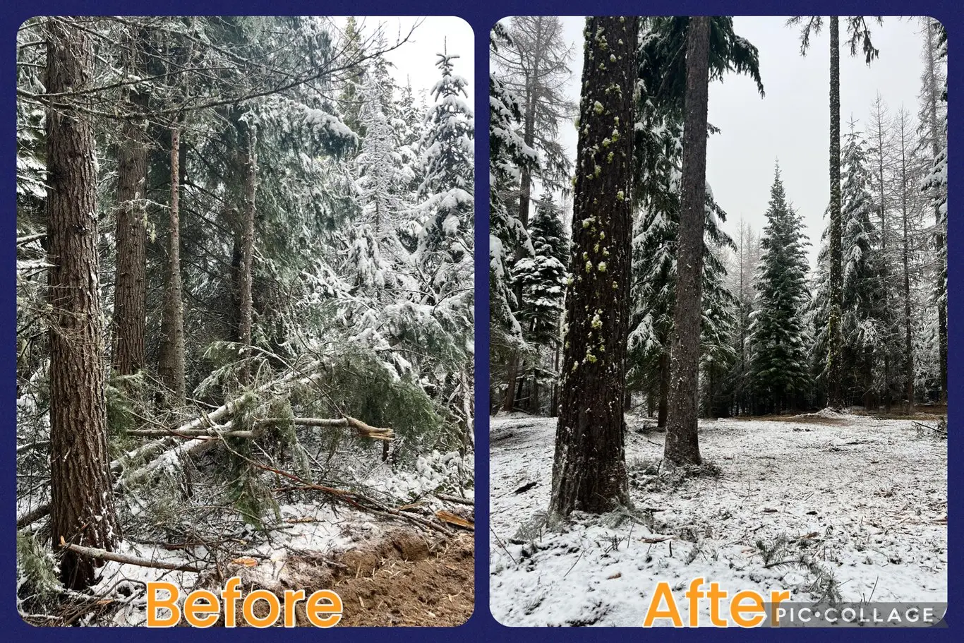 Tollgate- Weston, OR