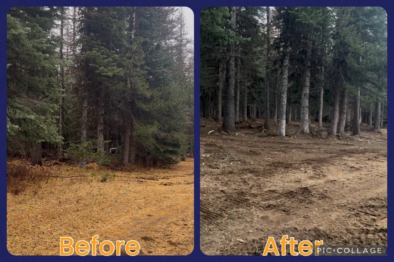 Tollgate- Weston, OR