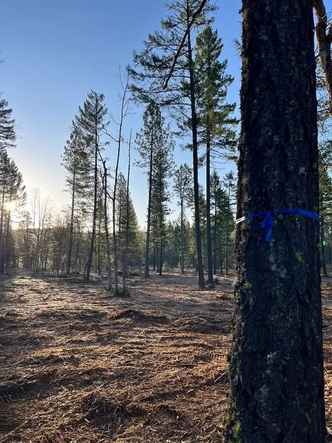 B0xmvsSYSbi7_36vW49RCw