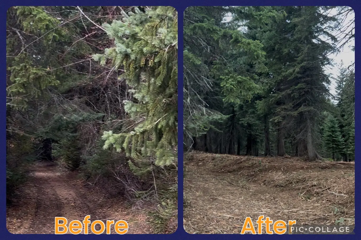 Tollgate- Weston, OR