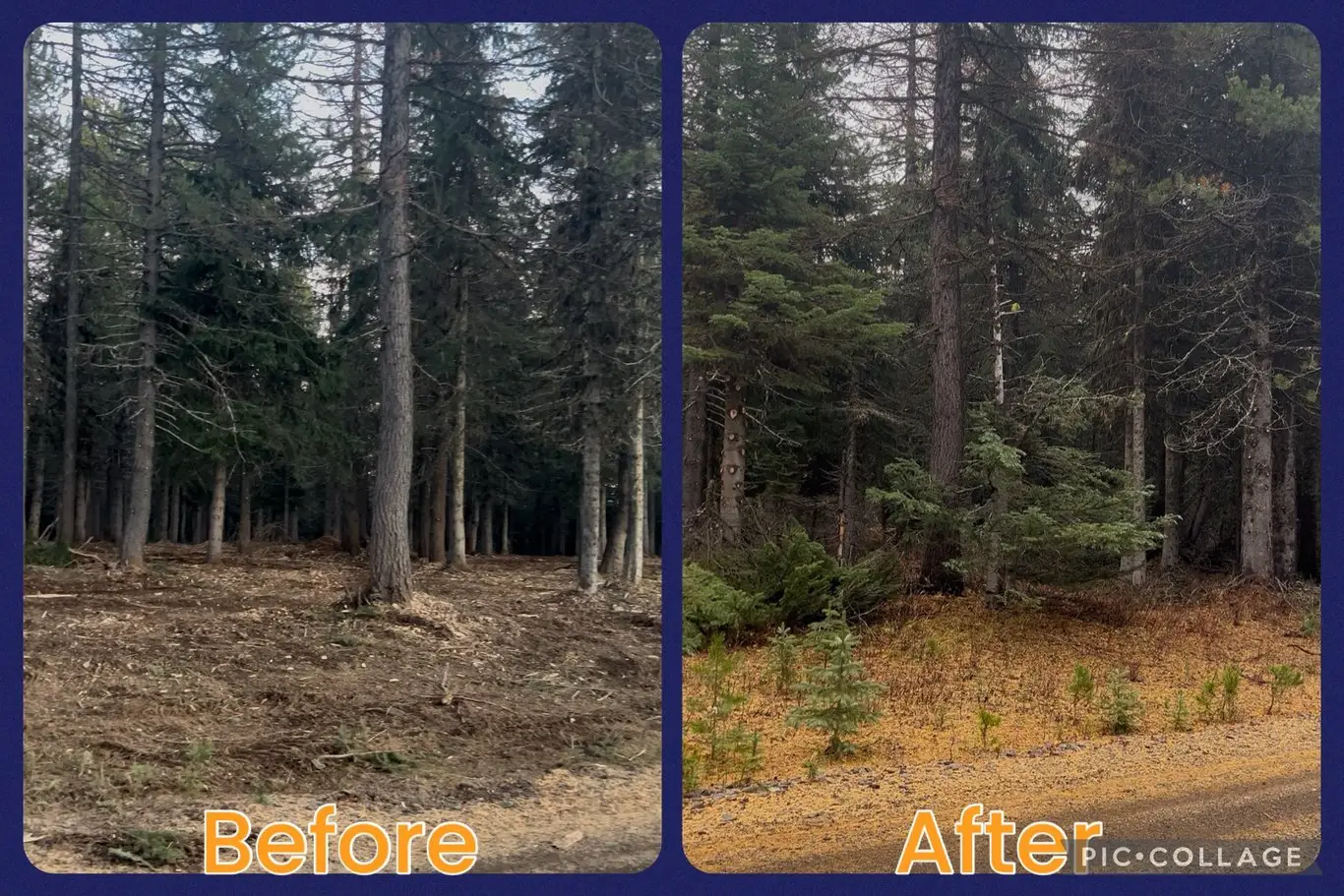 Tollgate- Weston, OR