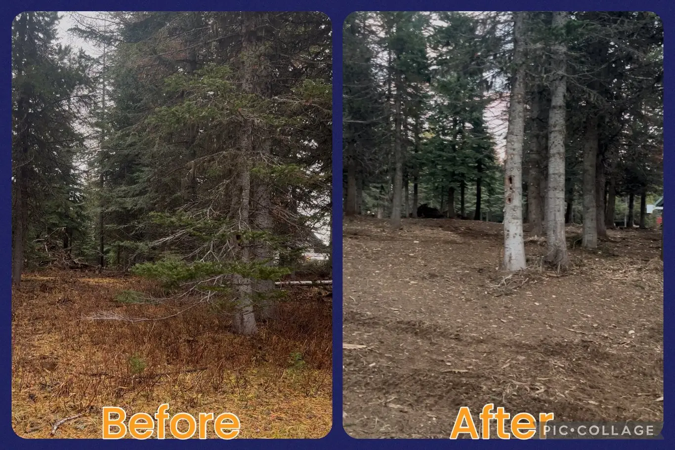 Tollgate- Weston, OR