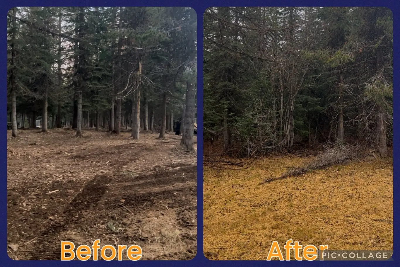 Tollgate- Weston, OR