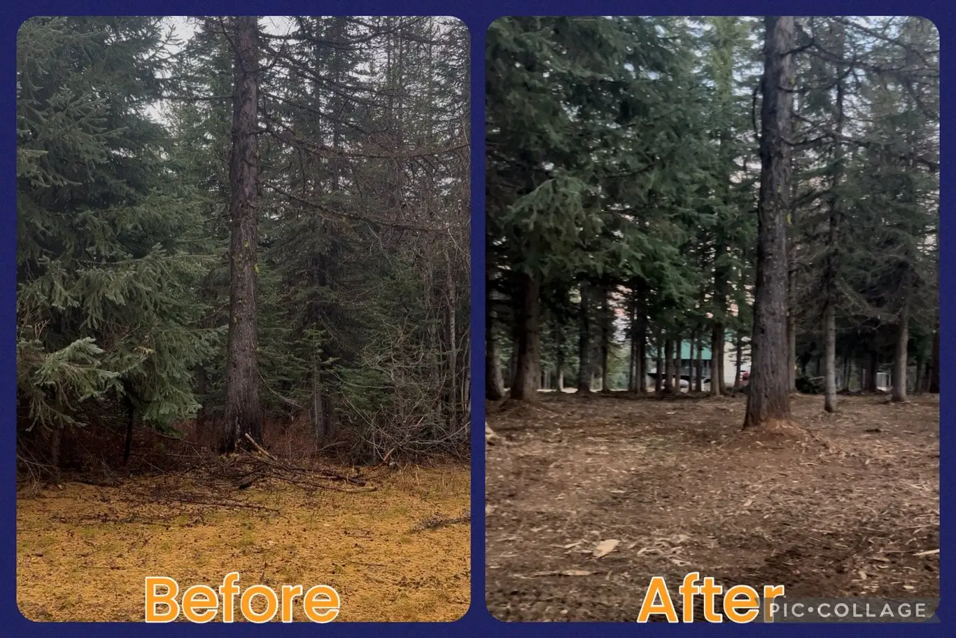 Tollgate- Weston, OR