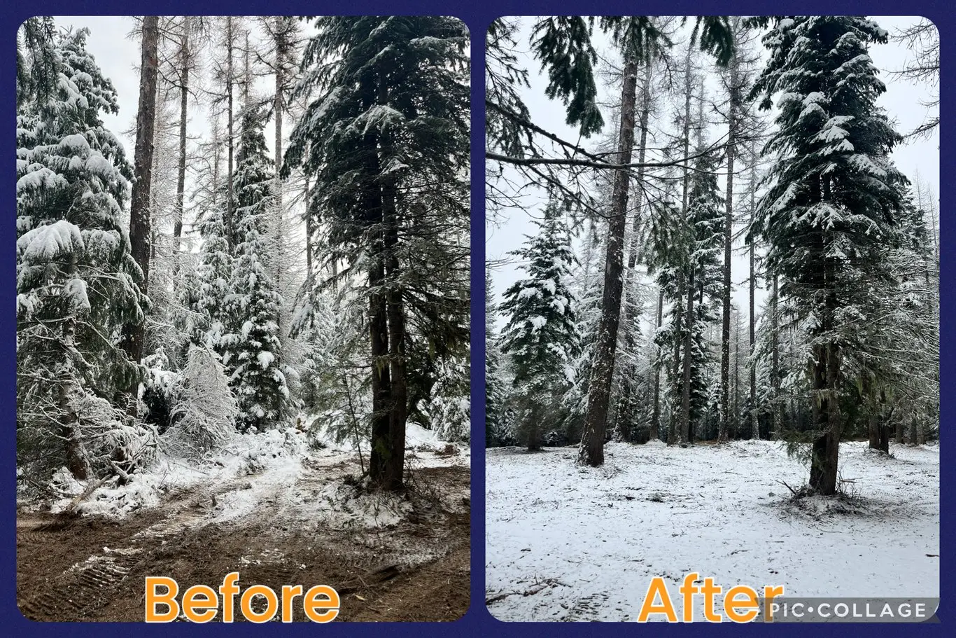 Tollgate- Weston, OR